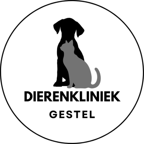 3. Logo Dierenkliniek Gestel