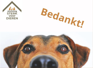 Nieuws 20240827 Happy Dutch Paradisenew