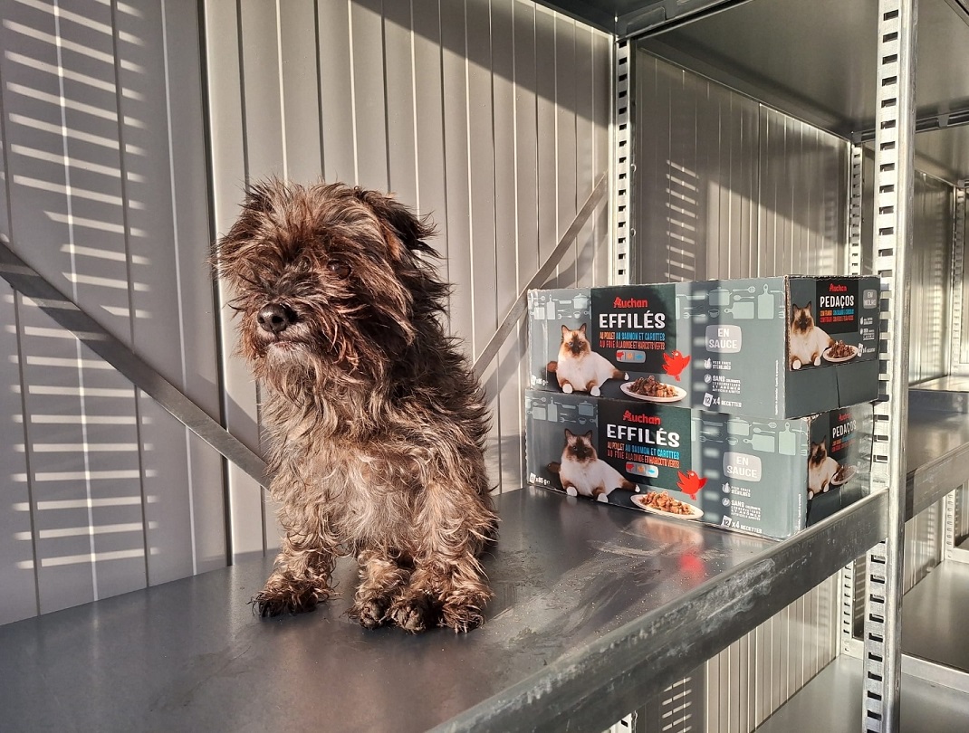 Nieuws 20241127 Snoop bedankt de donateurs van Stg DierenLot 75