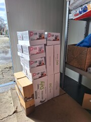 Nieuws 20260301 voer twee katten