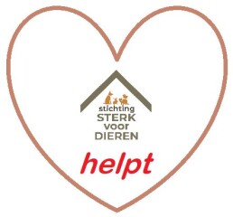 Nieuws 20260518 voorbeelden van hulp