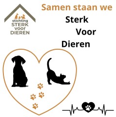 Nieuws 20260726 poes Innie