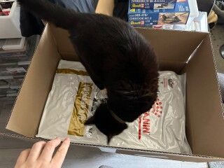 Nieuws 20261001 kater Sam voer