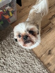 Nieuws Bobby oog
