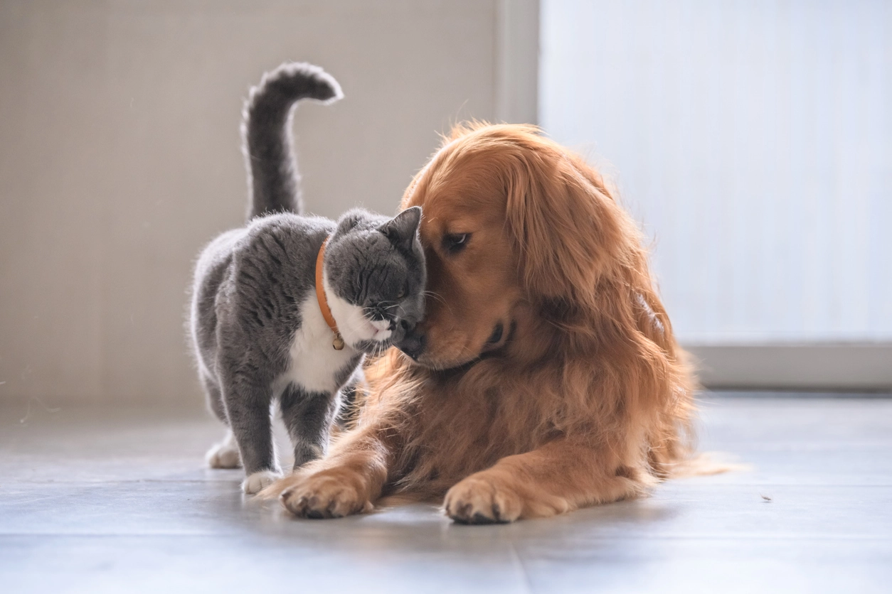 Samen staan we sterk